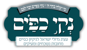 נקי כפיים, פוטש הפקות