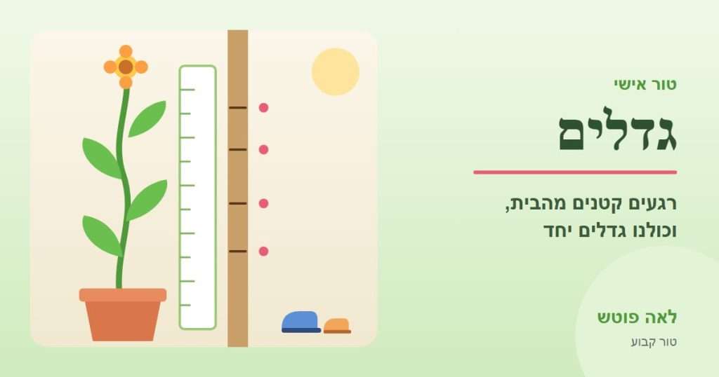 כריכה לסדרה "גדלים": צמח שגדל לצד סרגל גובה וסימוני גובה על משקוף הדלת – לאה פוטש