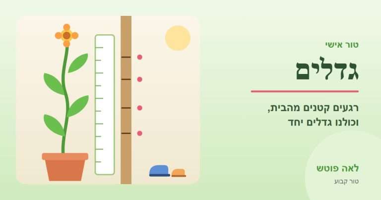 כריכה לסדרה "גדלים": צמח שגדל לצד סרגל גובה וסימוני גובה על משקוף הדלת – לאה פוטש