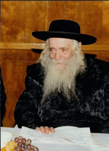 דיוקן בעל שפע חיים